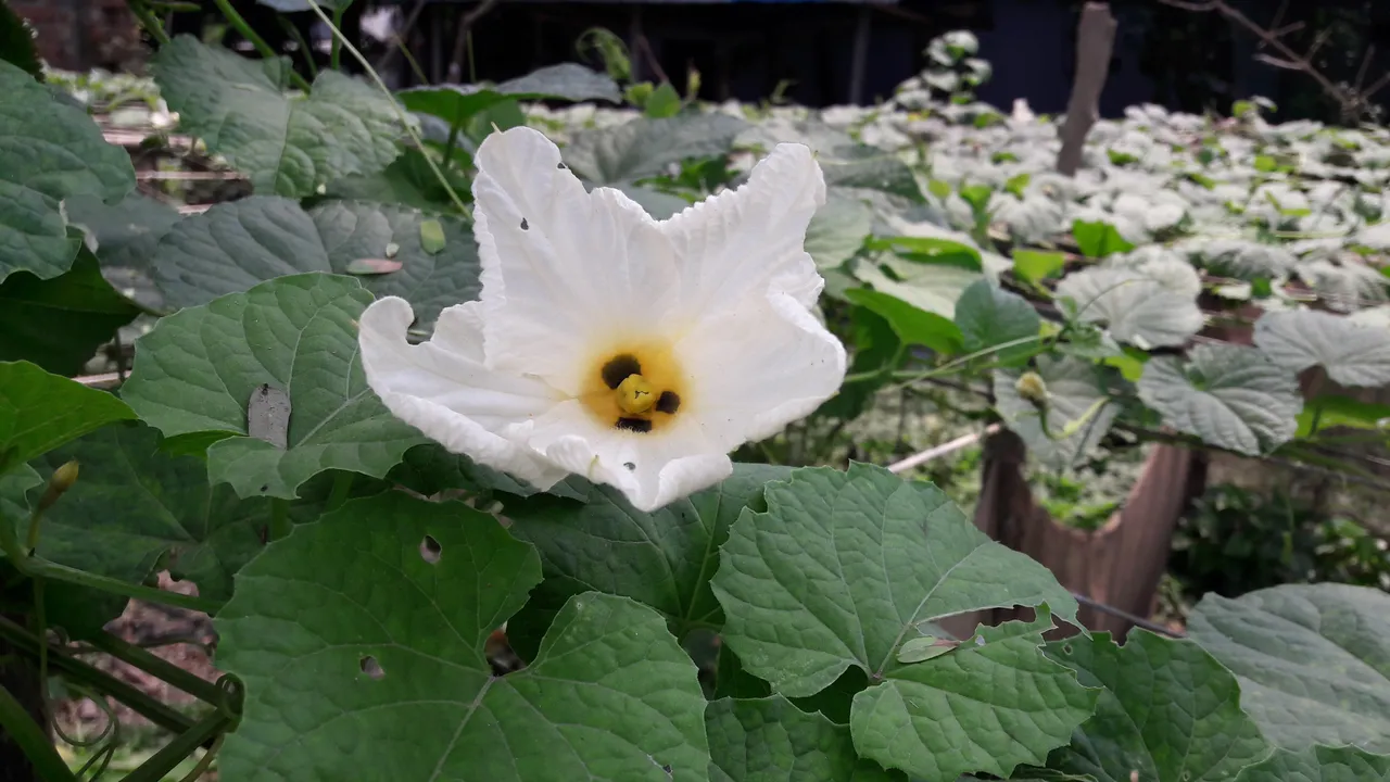20180514_133534.jpg