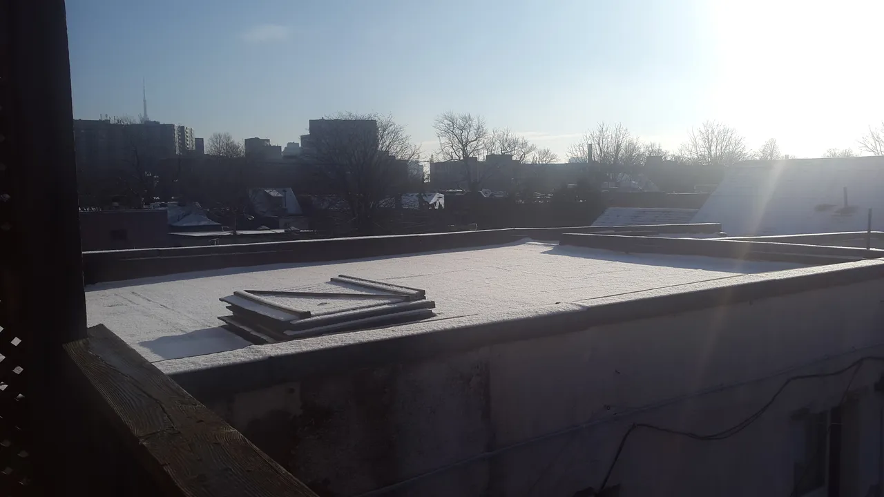 20190118_095305.jpg