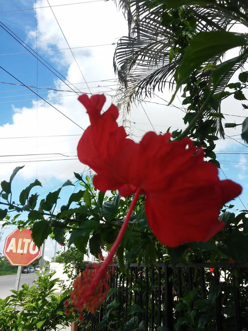 20181002_101949.jpg