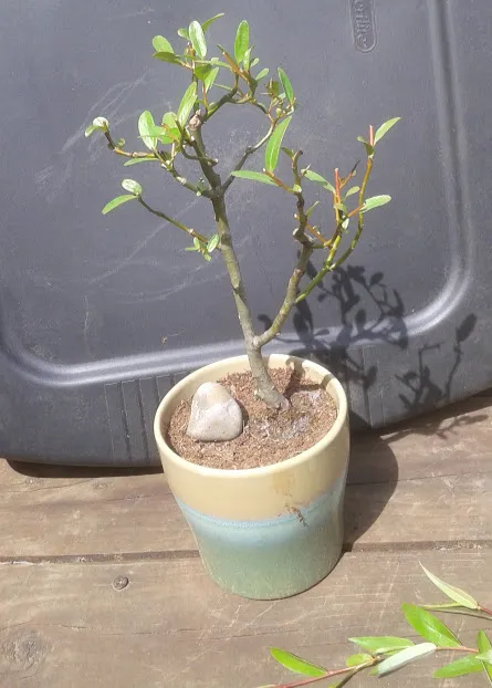 20180505_140238.jpg