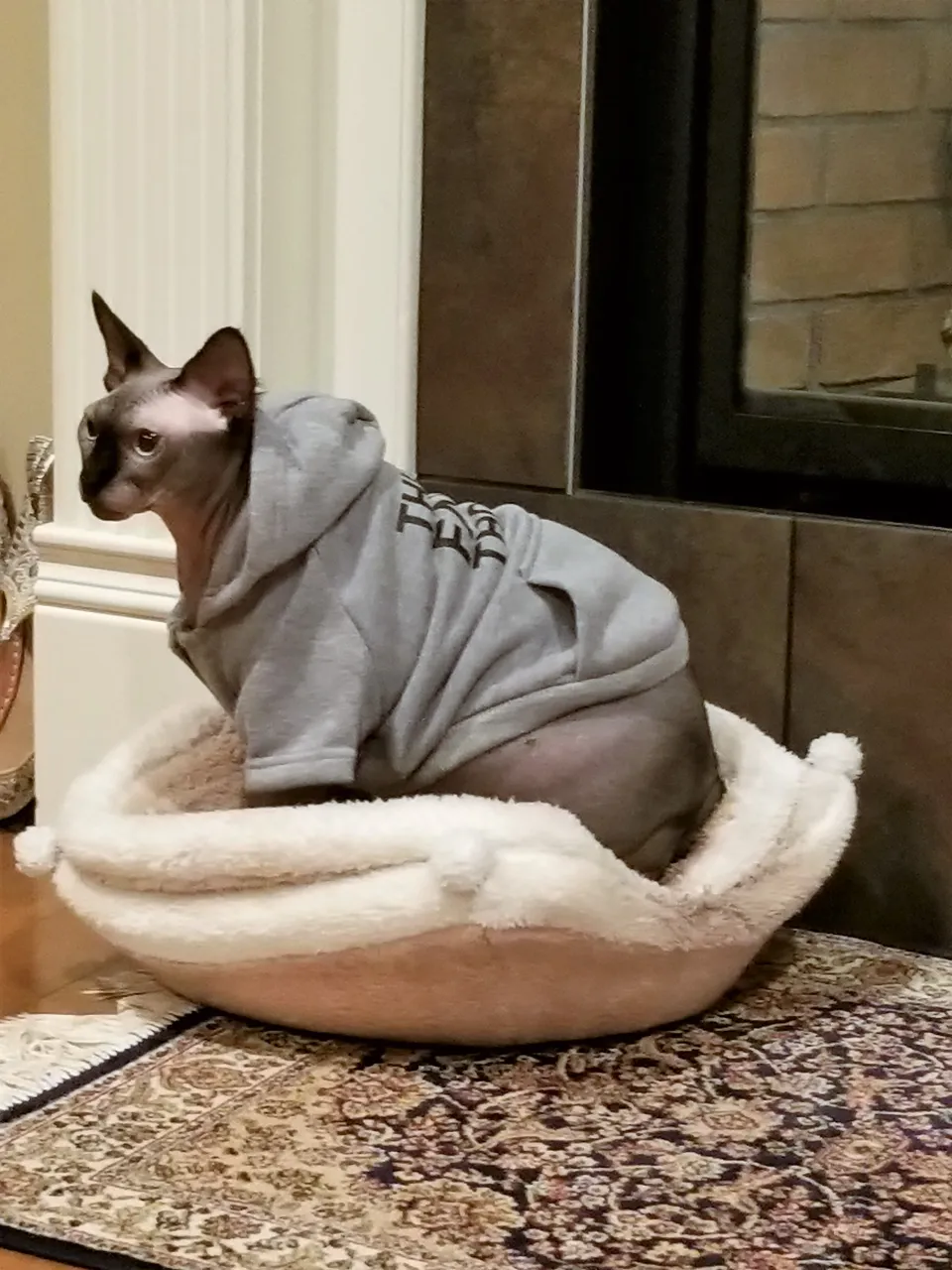 20181129_205201.jpg