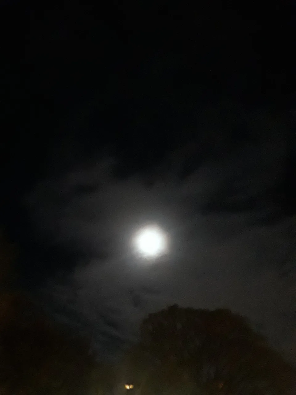 20180430_010431.jpg