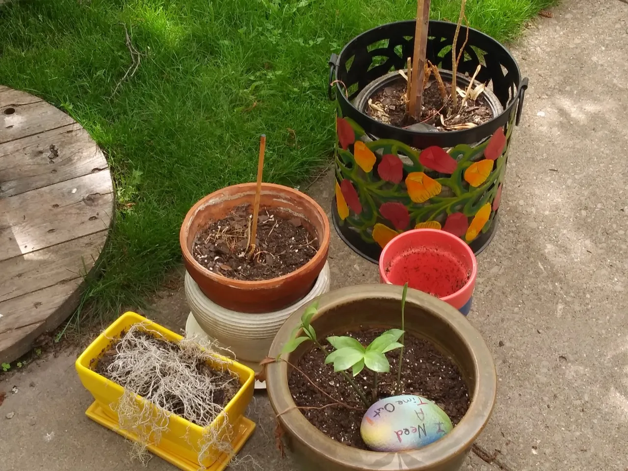 20190526_100623.jpg