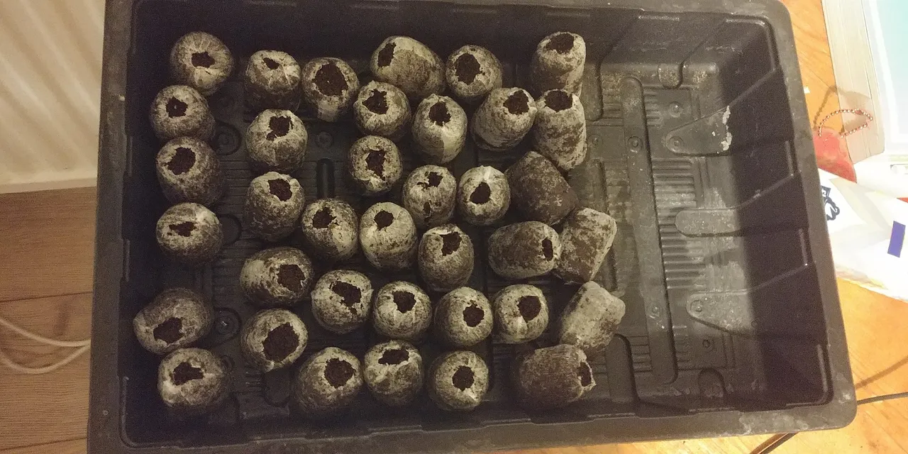 20190225_181133.jpg