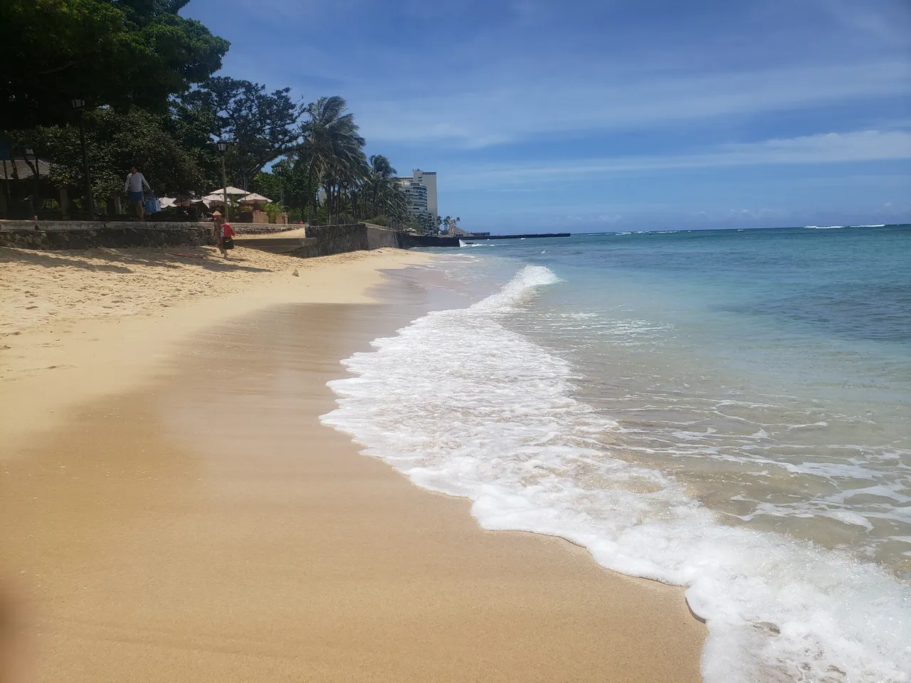 20190603_115606.jpg