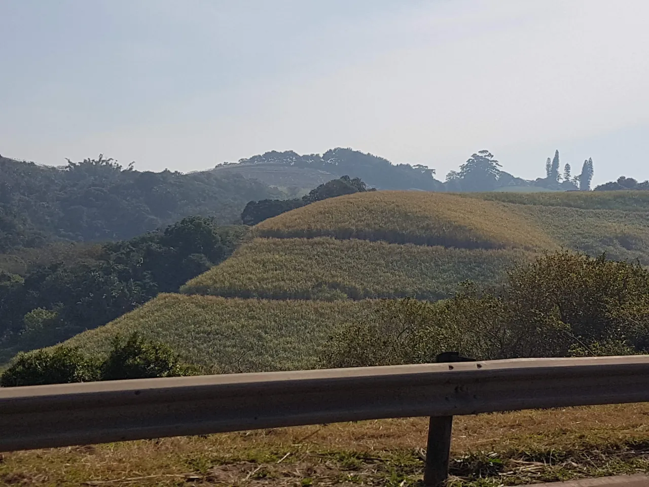 20180727_120322.jpg