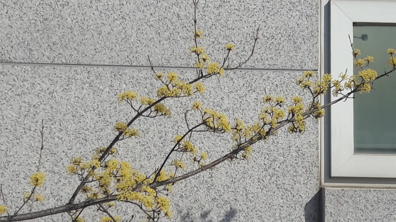 20190404_092847.jpg