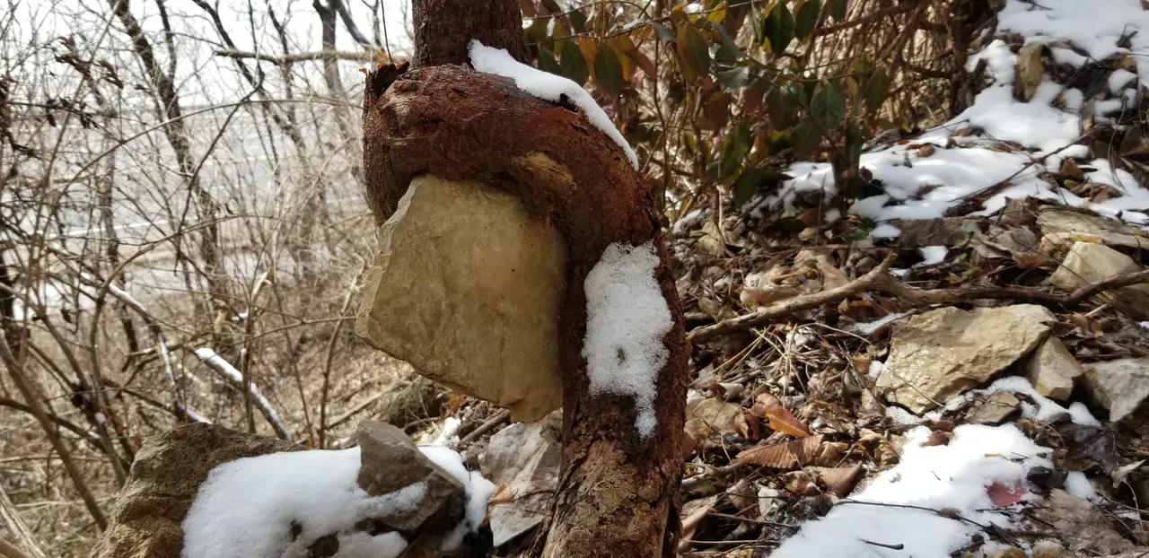 20190216_132725.jpg