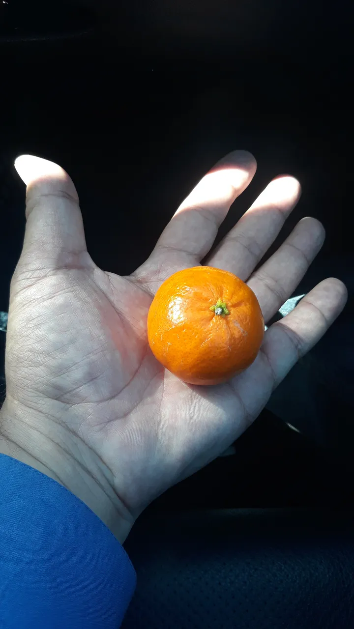 20191006_140649.jpg