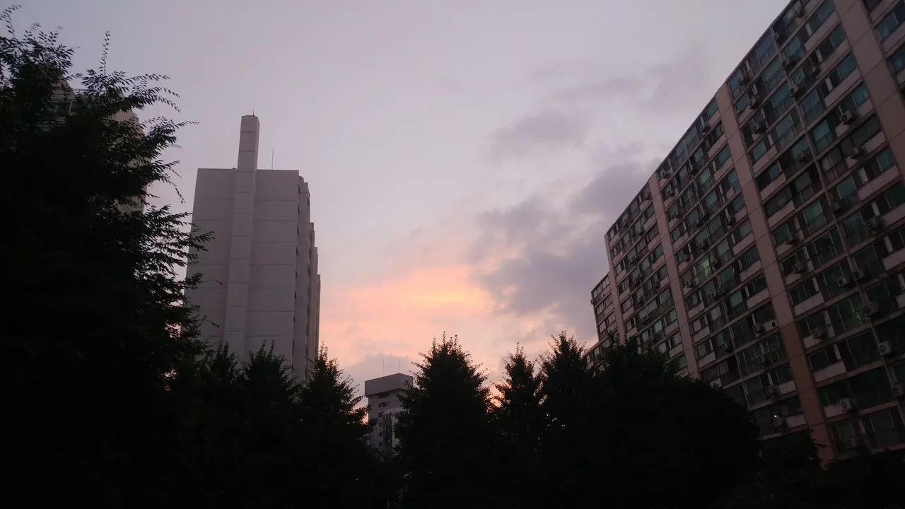 20180630_200356.jpg