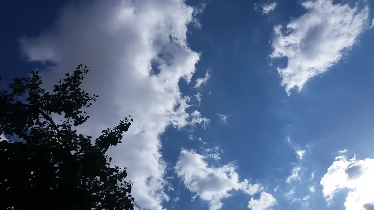 20180517_164838.jpg