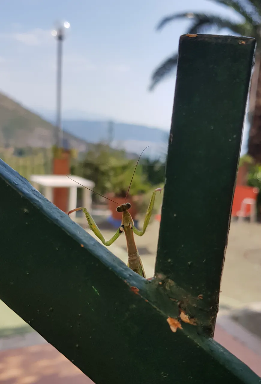 20191028_073356.jpg