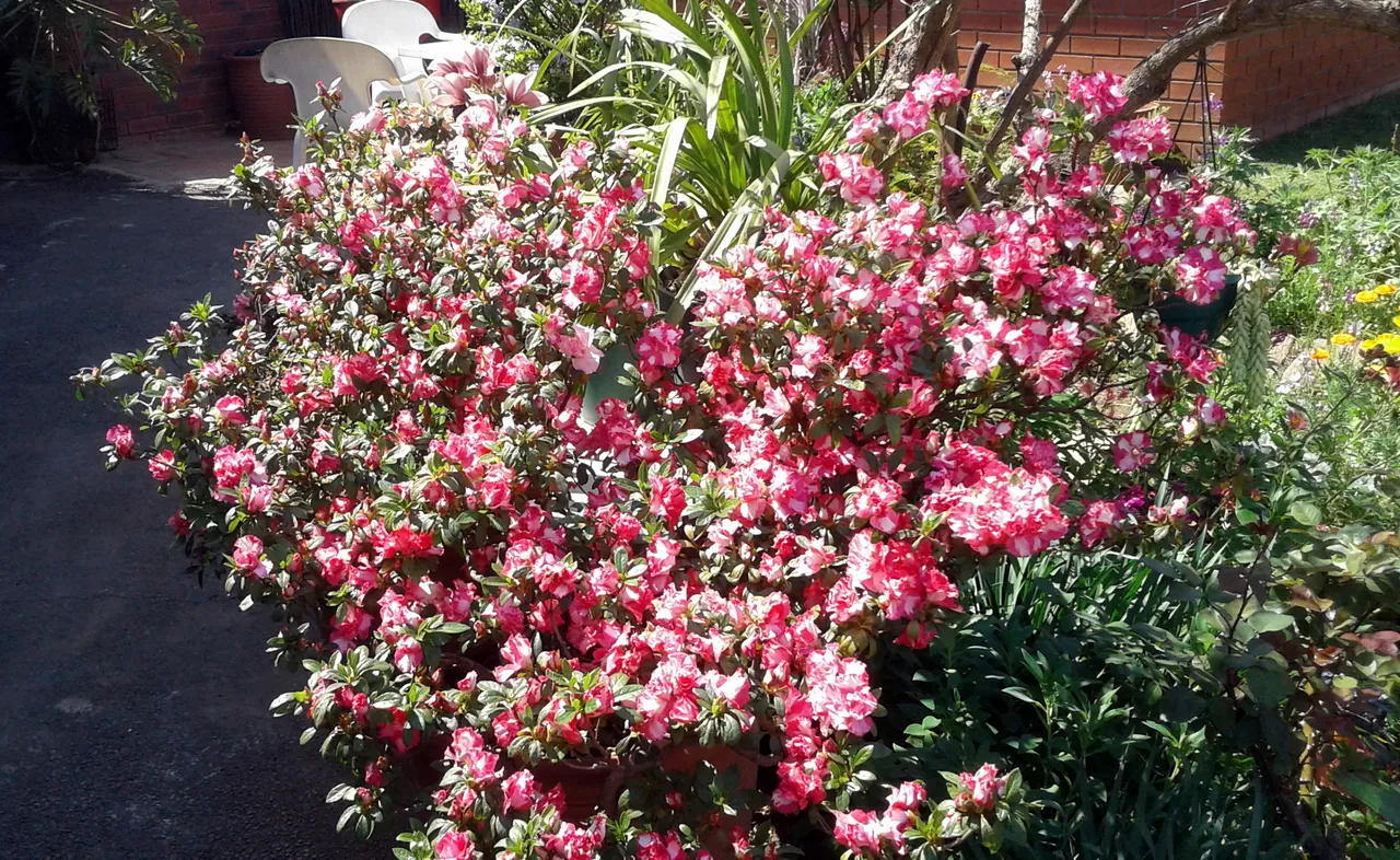20180916_105241.jpg