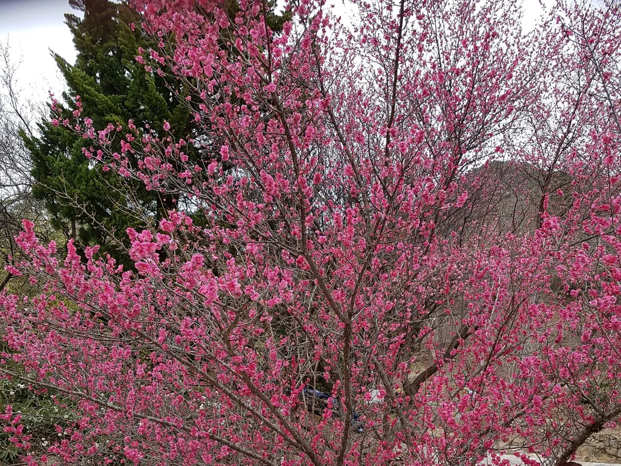 20190304_230208.jpg