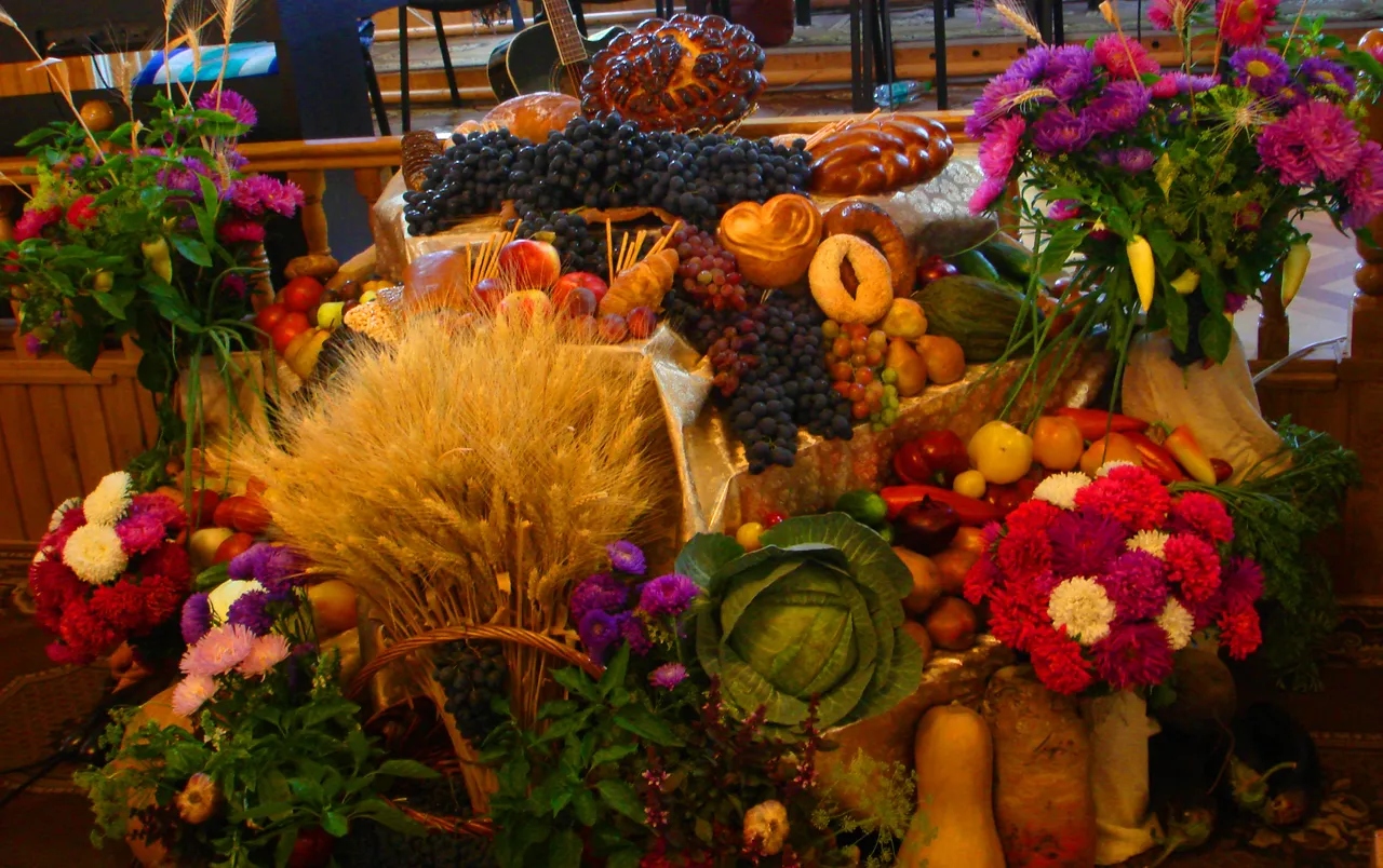 DSC01741-444444.jpg