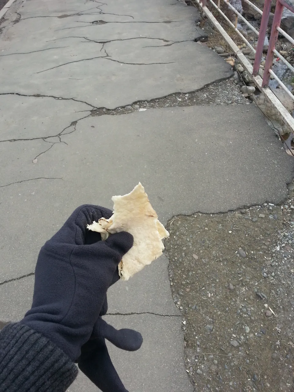 20141205_115013.jpg