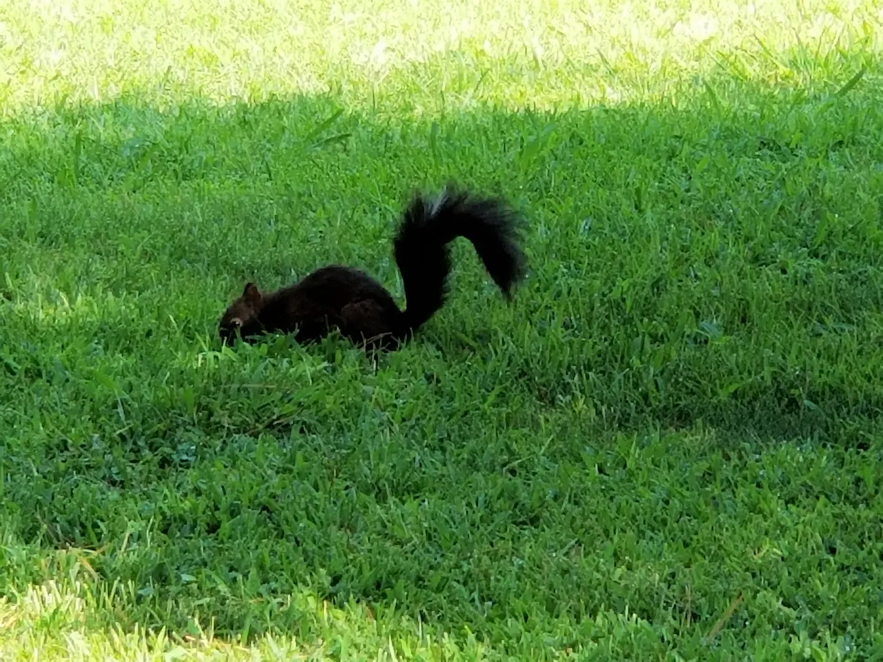 20180827_101624.jpg