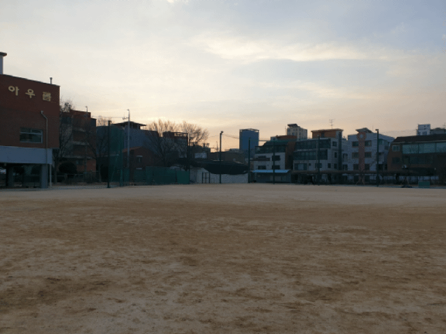 20190210_084046.gif