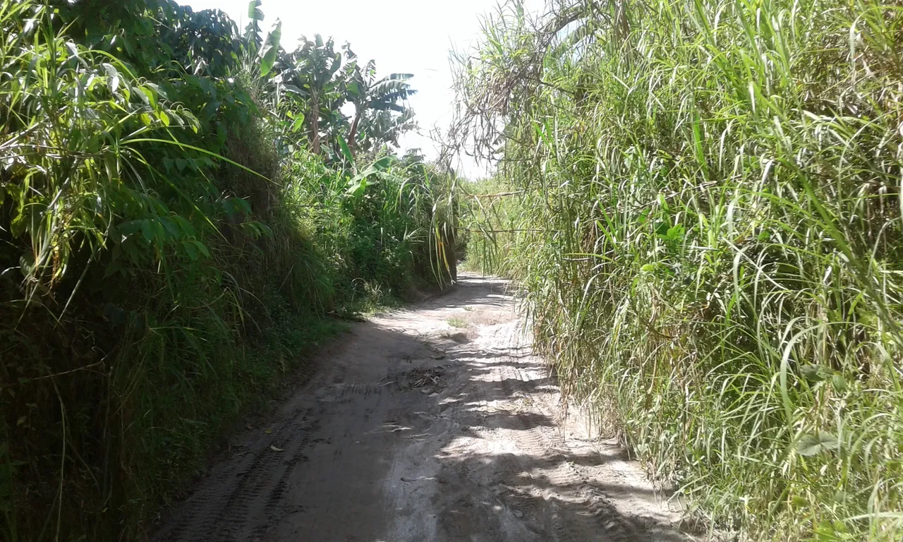 20190524_092444.jpg