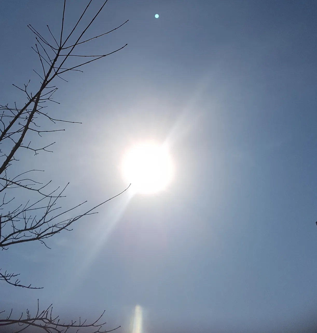 20190314_103218.jpg