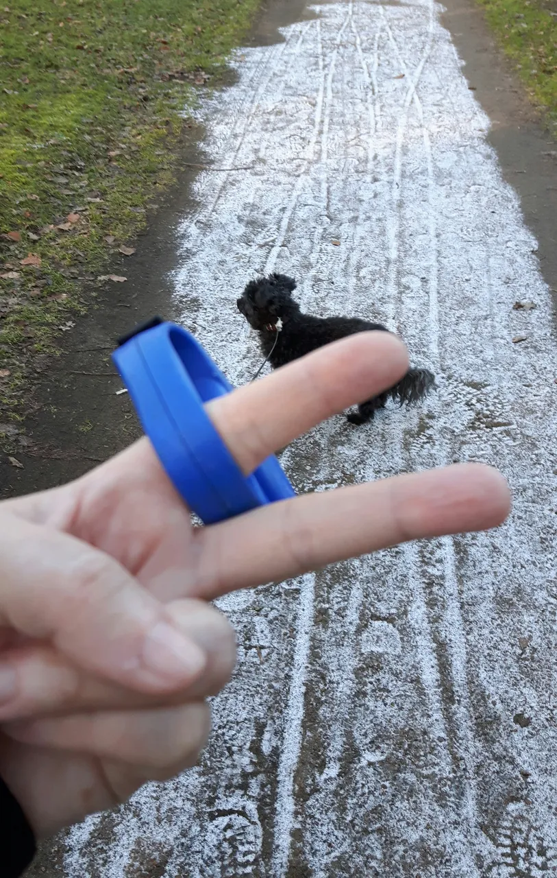 20190129_161840.jpg