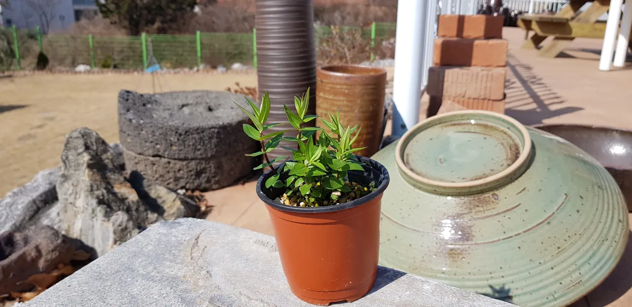 20190317_103606.jpg
