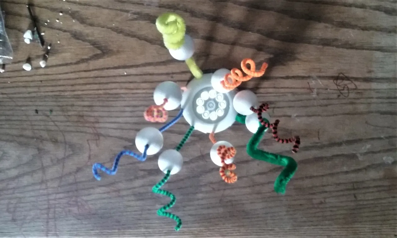 20180616_093613.jpg