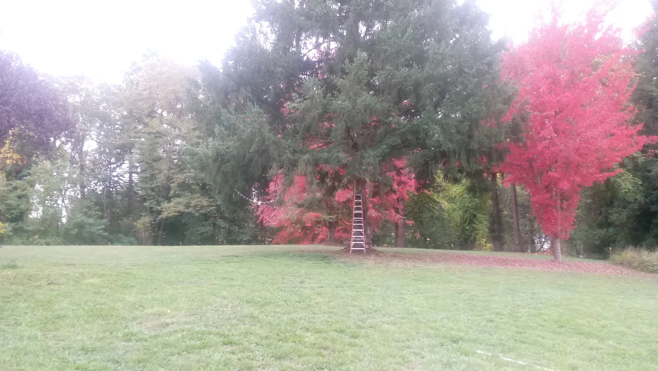 20181010_104504.jpg