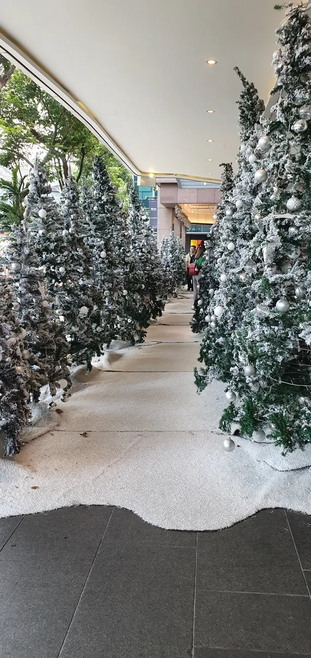 20191224_174349.jpg
