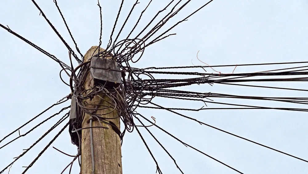 Birds Nest_MH.jpg