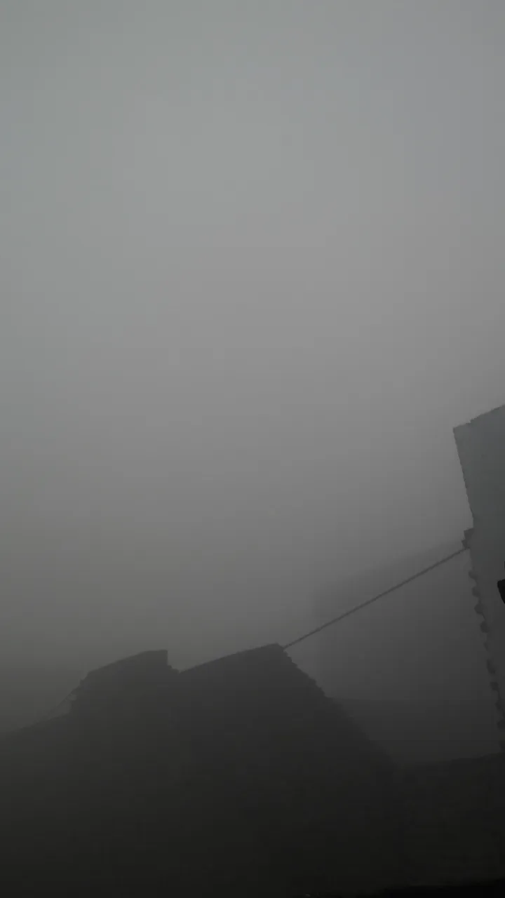 20181227_091530.jpg