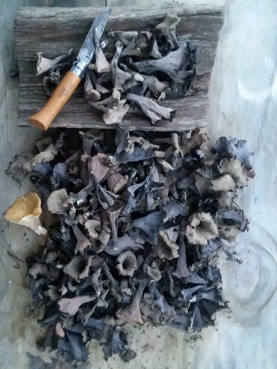 20180824_194420.jpg