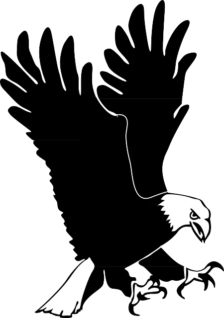 eagle-46098_640.png