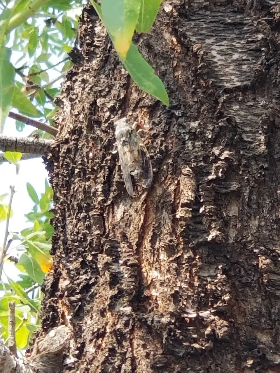 20180812_112425.jpg
