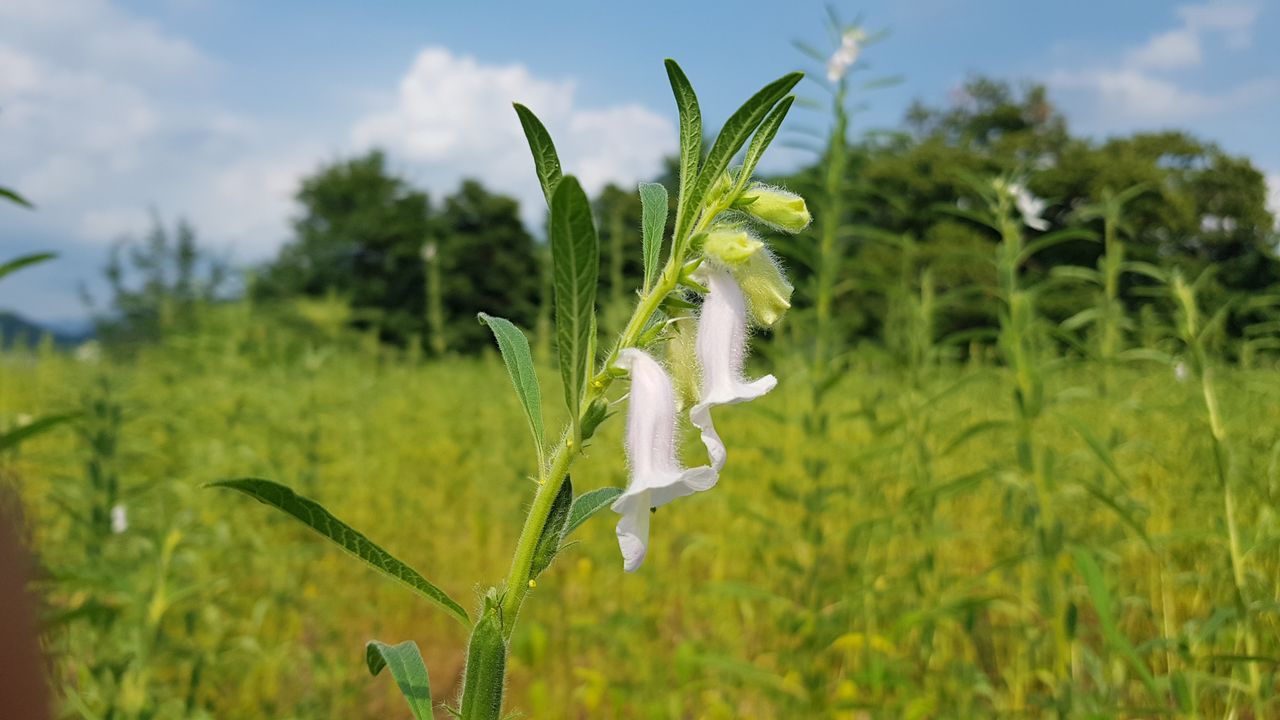 20180807_154402.jpg