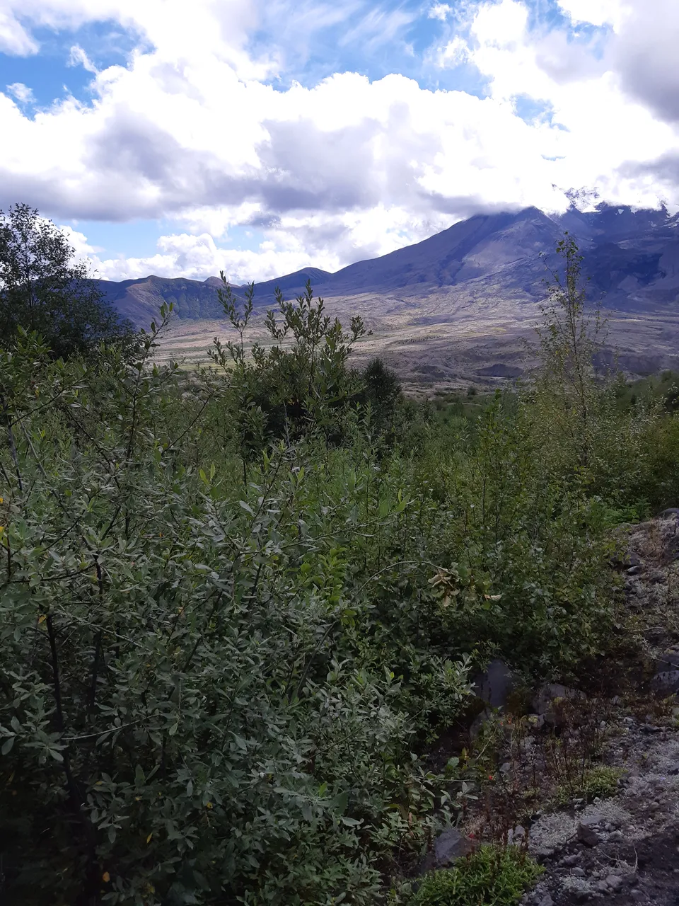 20180914_133655.jpg