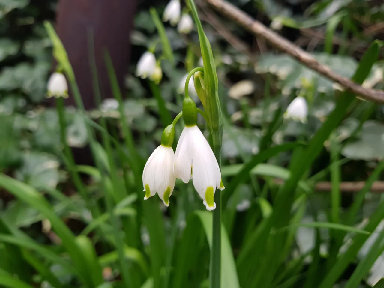 20190322_163334.jpg