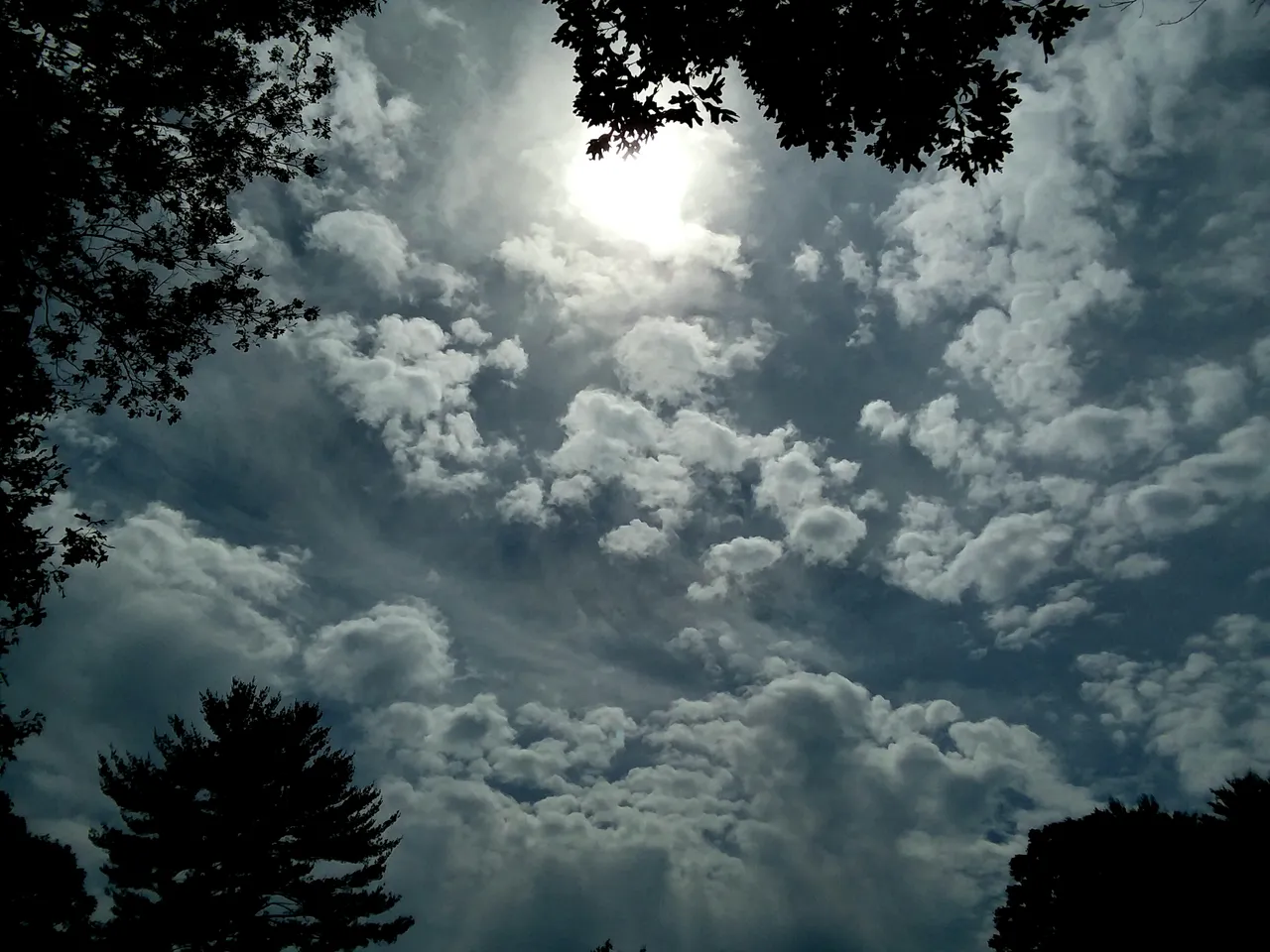 20190703_162612.jpg