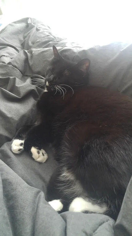 20190419_131704.jpg