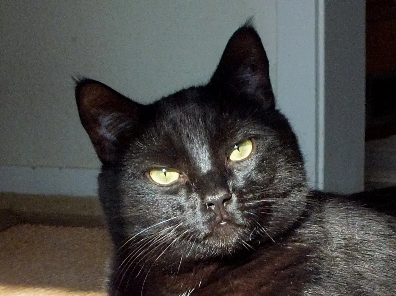 CC0263-Portrait.jpg