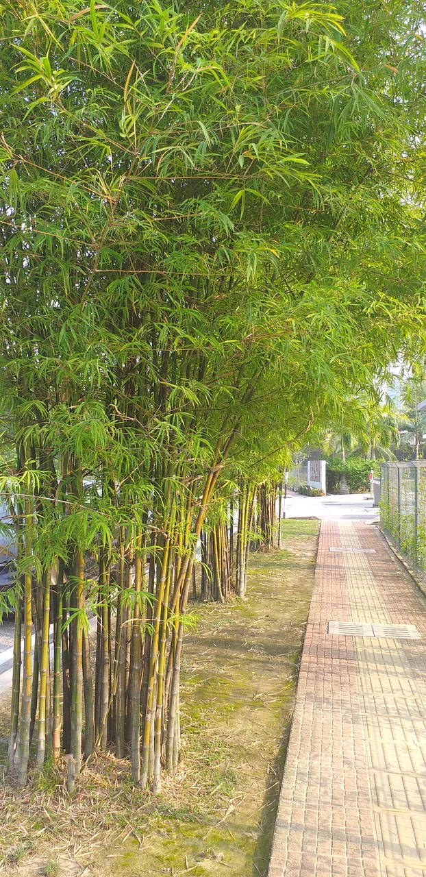 20190820_091734.jpg