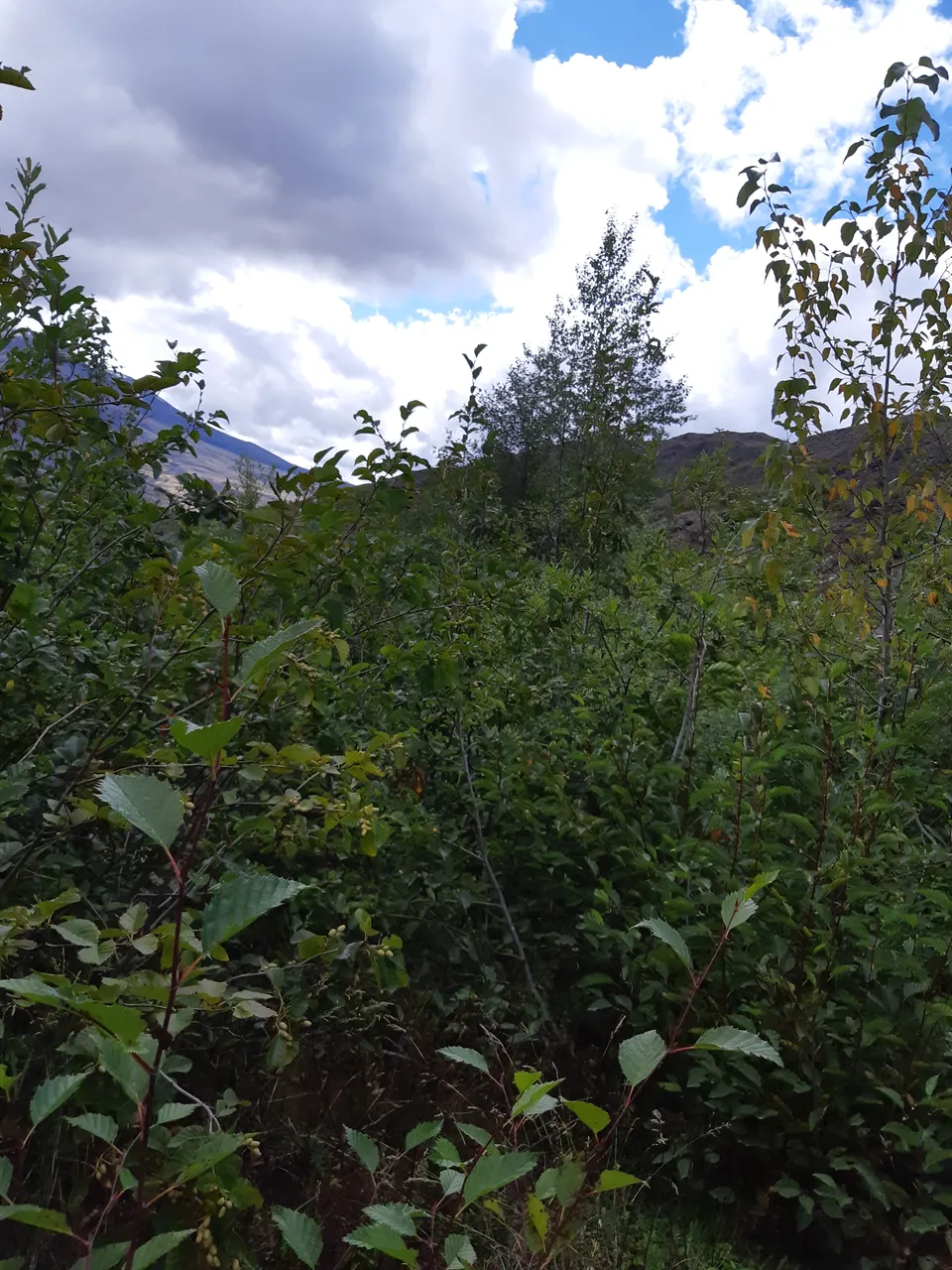20180914_133539.jpg