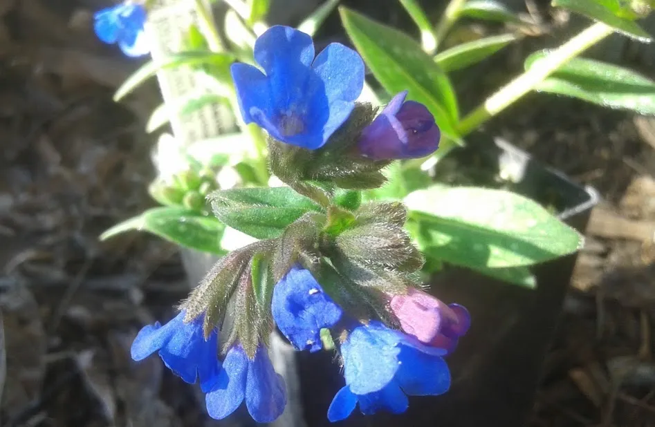 20190302_093220.jpg