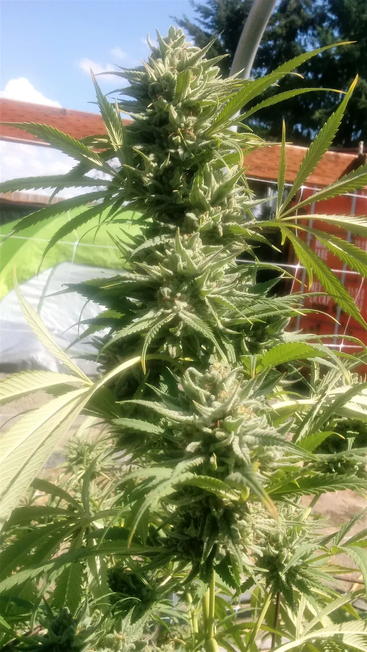20180827_144307.jpg