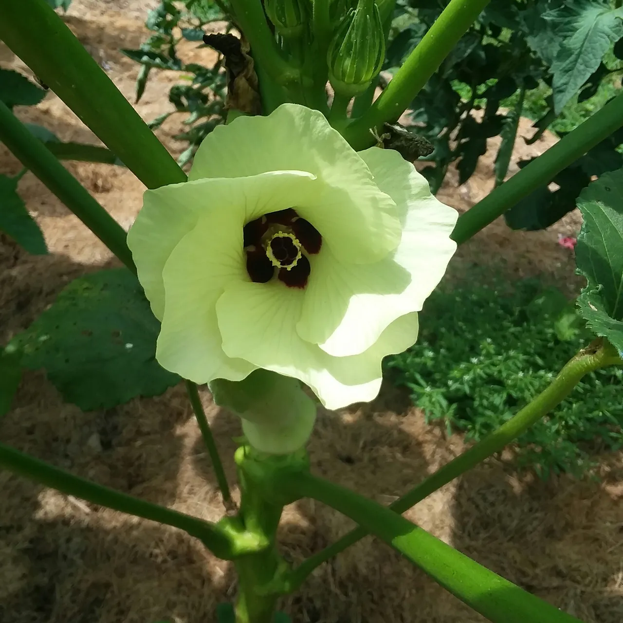 20180721_204658.jpg