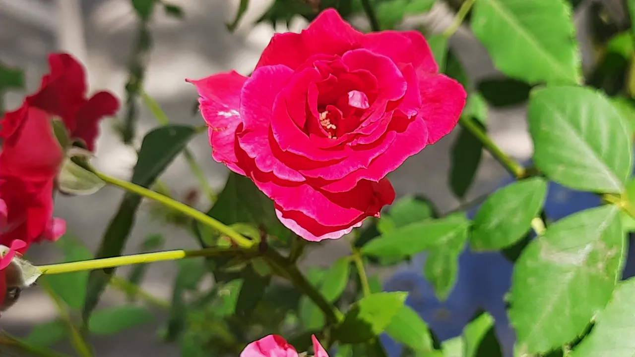 20220329_133446.jpg