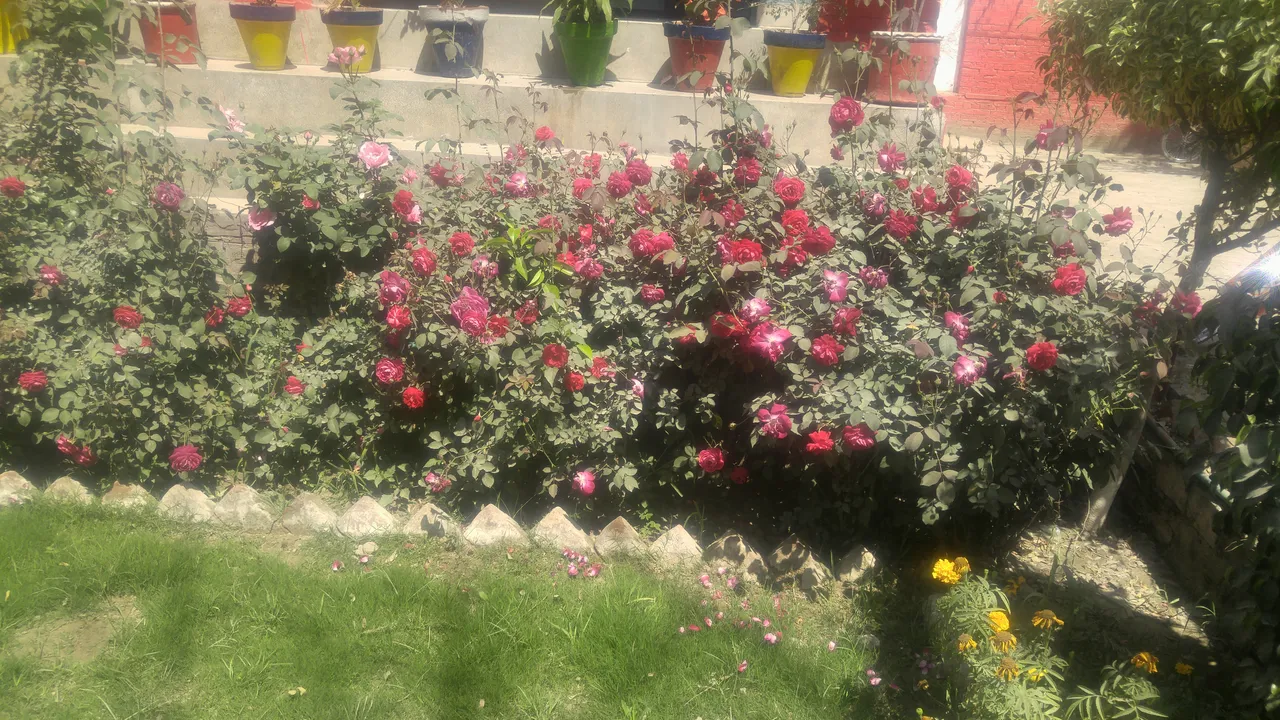 20190402_112338.jpg