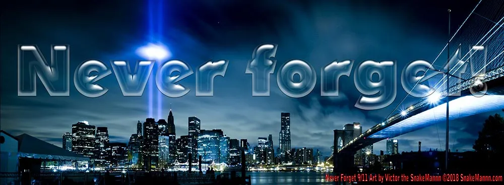 209-11lbanner01.jpg