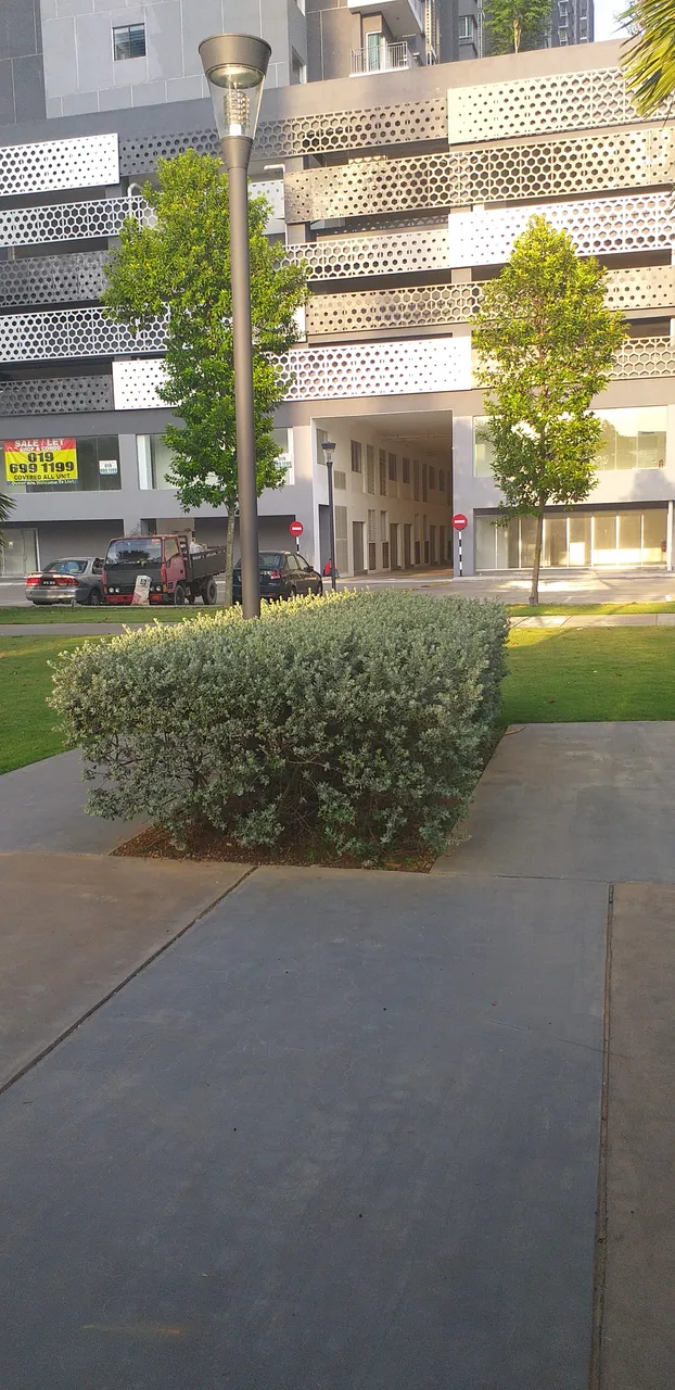20190710_075318.jpg