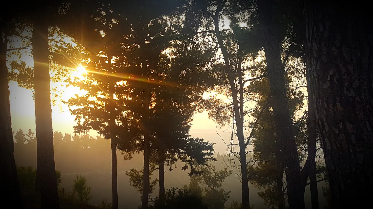 20180614_001617.jpg